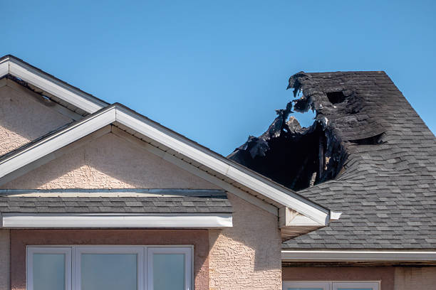 Licensed Emergency Fire Cleanup service in Newport, MN - Fire Damage Biloxi